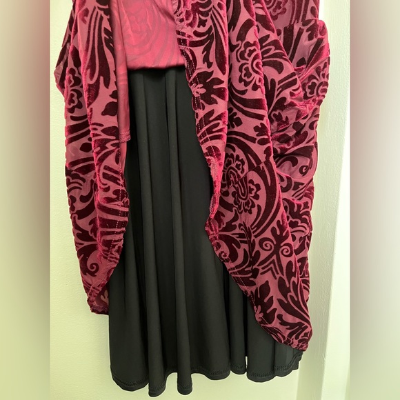 Aqua Maroon Velvet Burnout Skater Dress, Size Large - Picture 4 of 5